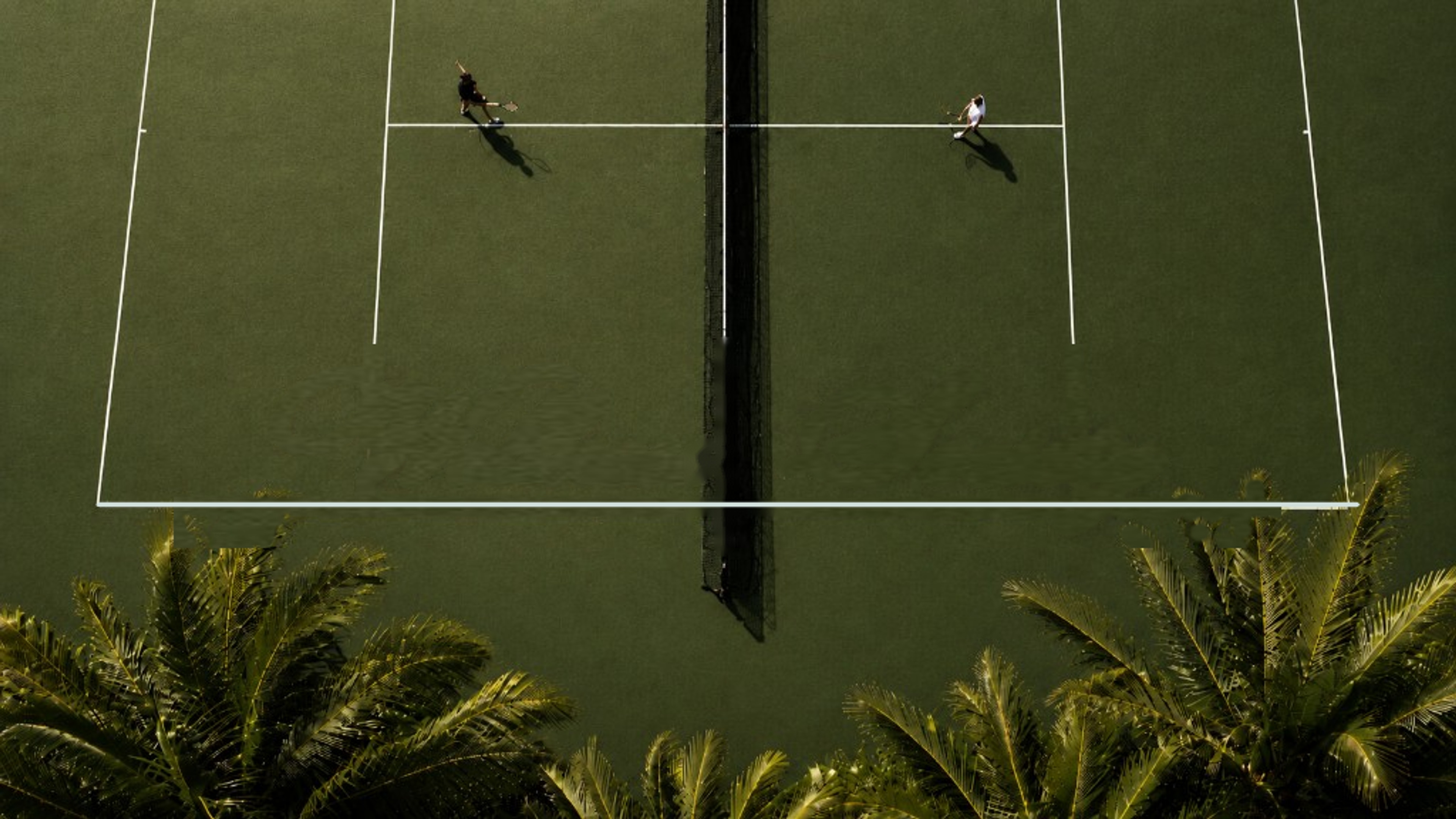 Wellness Society — aerial tennis court with palm trees